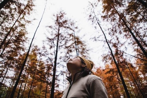 Woman looking up into the sky above the tree tops of a cypress forest.